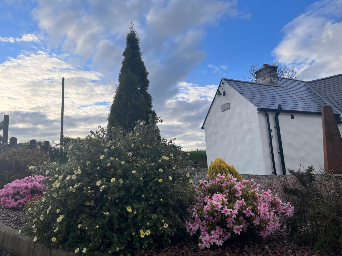 Dans Wee Cottage Slieve Croob Dromara Castlewellan Newcastle Exteriér fotografie