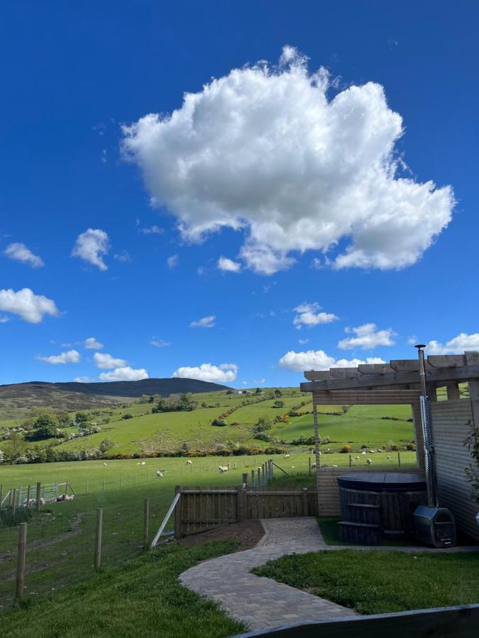 Dans Wee Cottage Slieve Croob Dromara Castlewellan Newcastle Exteriér fotografie