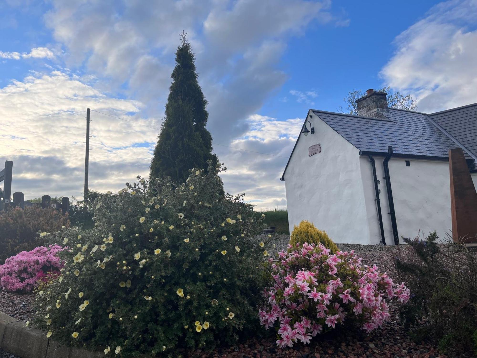 Dans Wee Cottage Slieve Croob Dromara Castlewellan Newcastle Exteriér fotografie